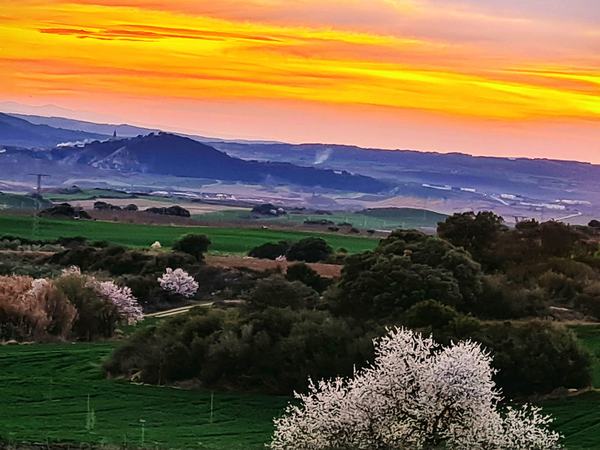 Artajona-by-Ameg-Ripalda-6-2023