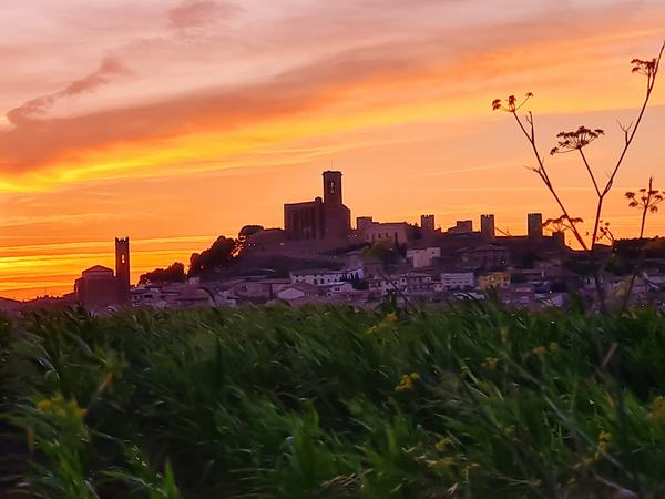 Artajona-by-Ameg-Ripalda-7-2023