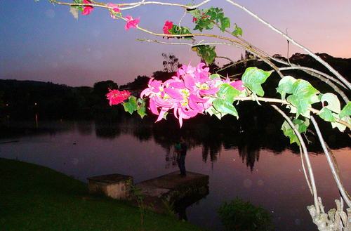 Wintertime in Brazil