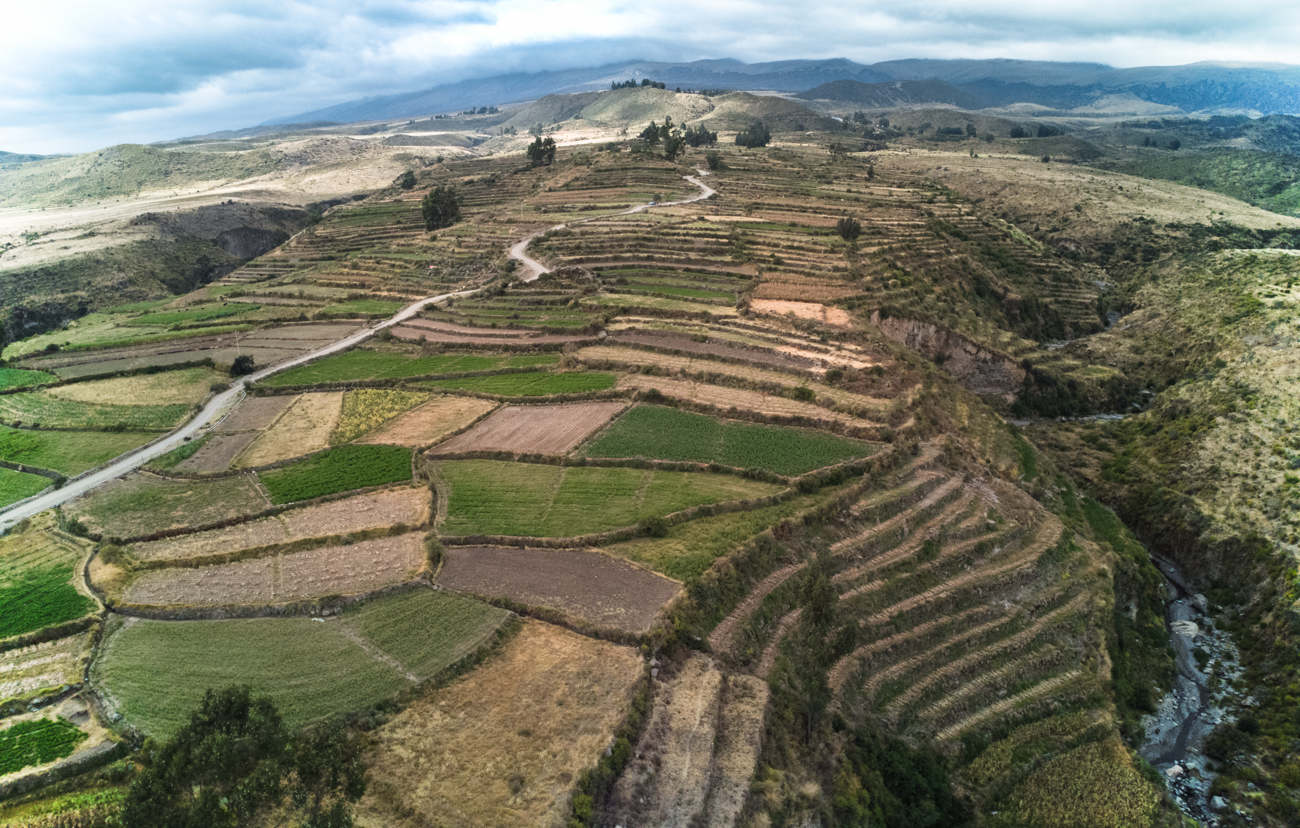 Video Update from Arequipa, Peru